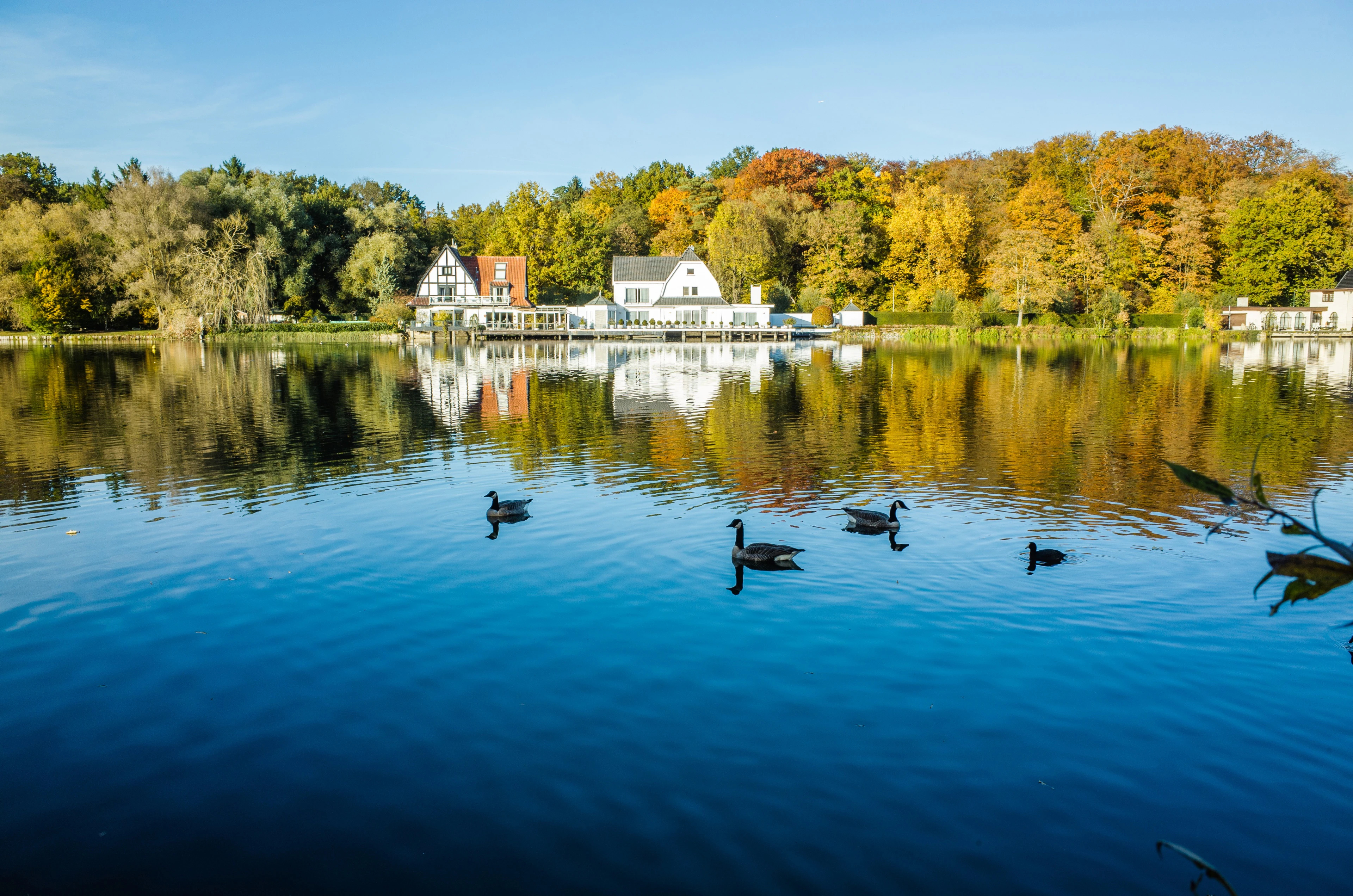 lac-gental-30-minutes-bruxelles-romantique