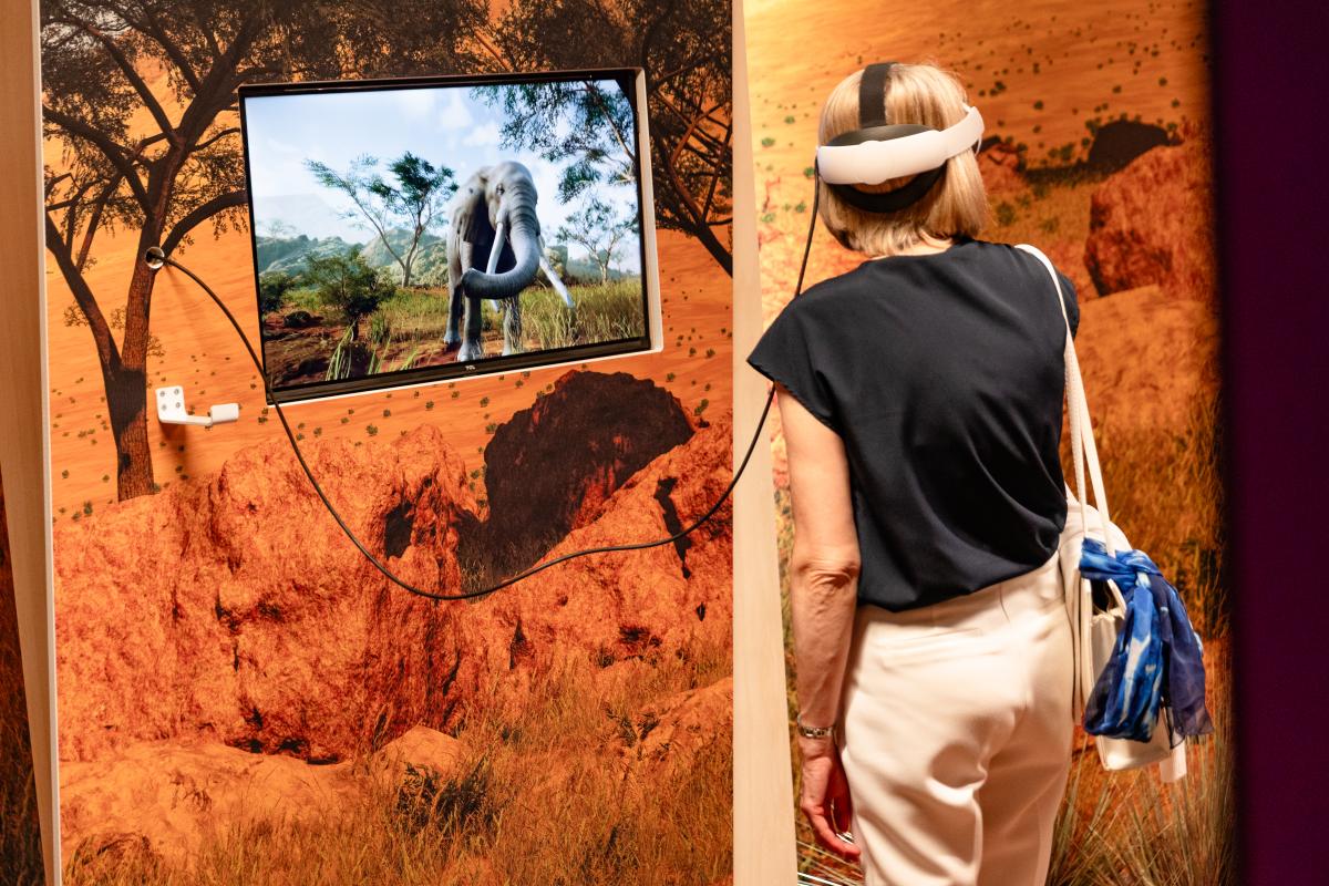 zoo-du-futur-virtuel-sans-animaux-bruxelles