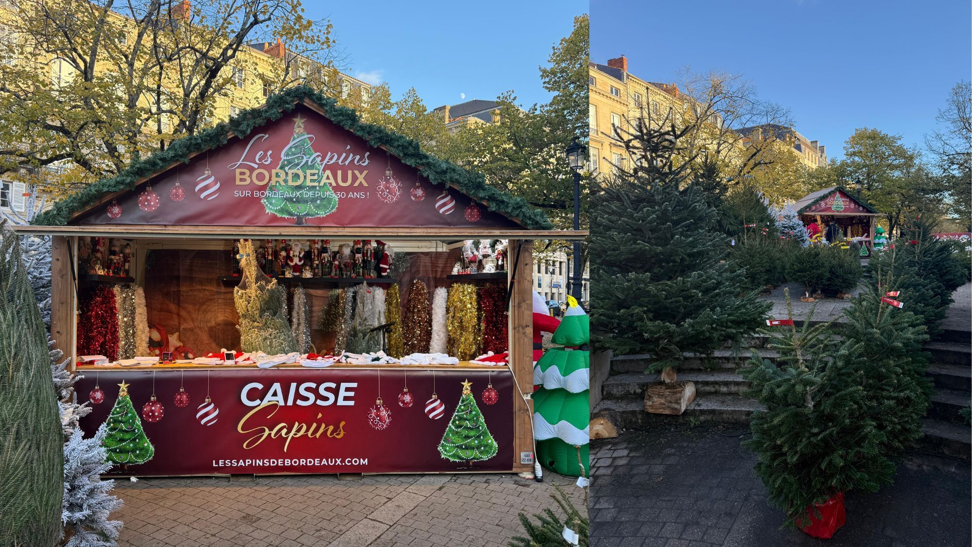 les-sapins-de-bordeaux