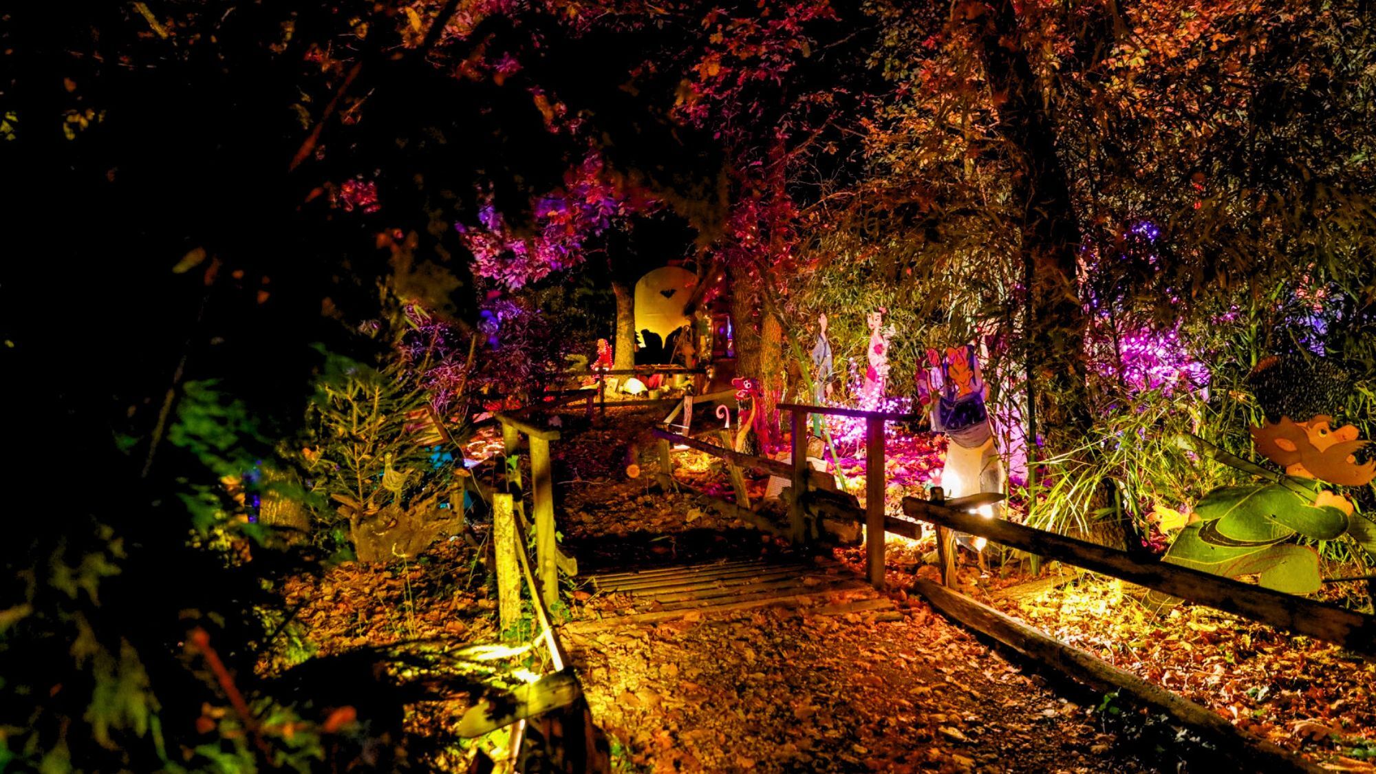 foret-enchantee-mauressac-toulouse