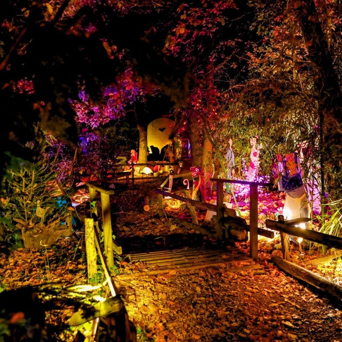 foret-enchantee-mauressac-toulouse