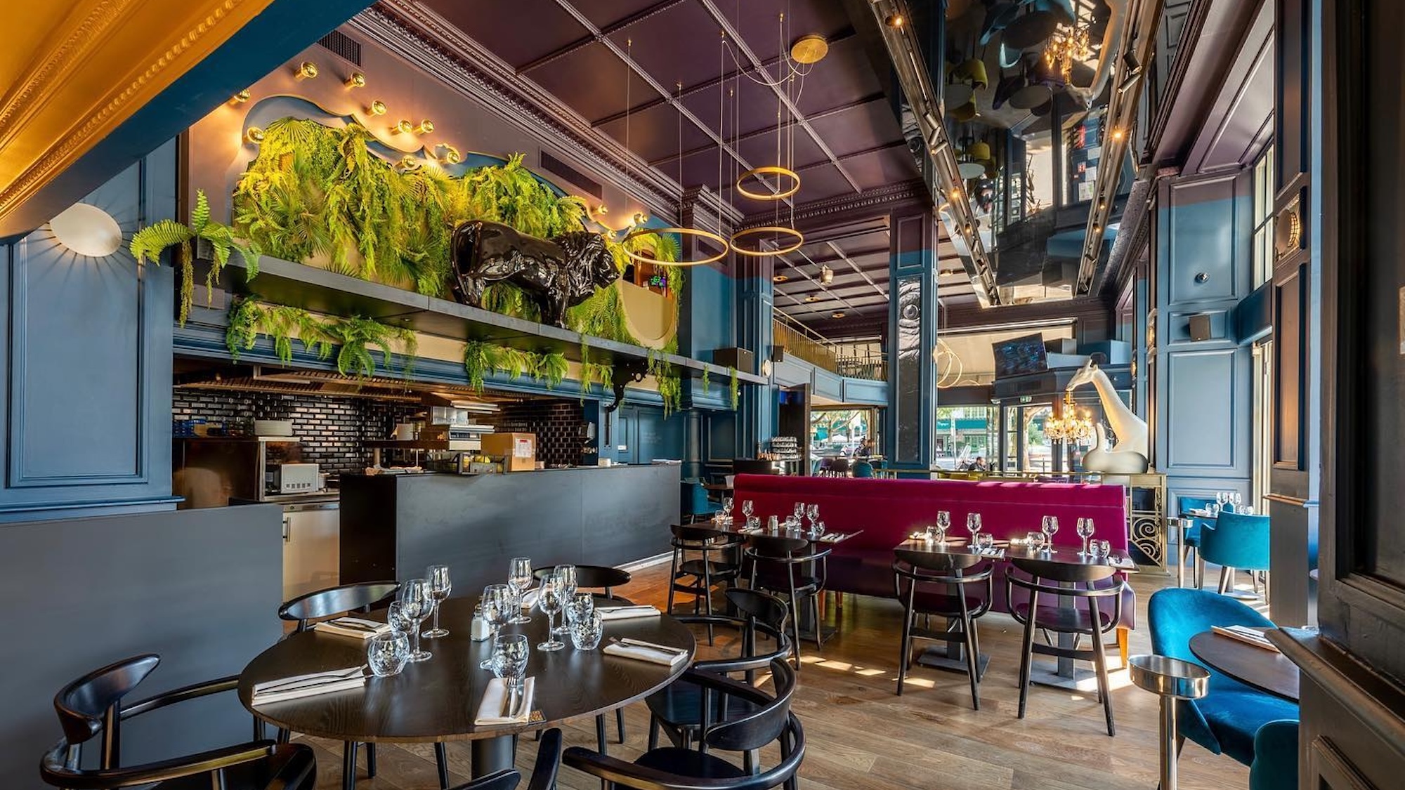 splendid-brasserie-lyon-redressement-judiciaire-