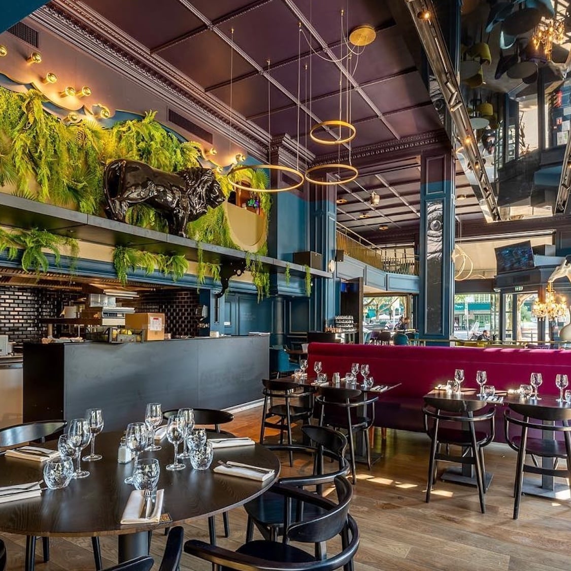 splendid-brasserie-lyon-redressement-judiciaire-