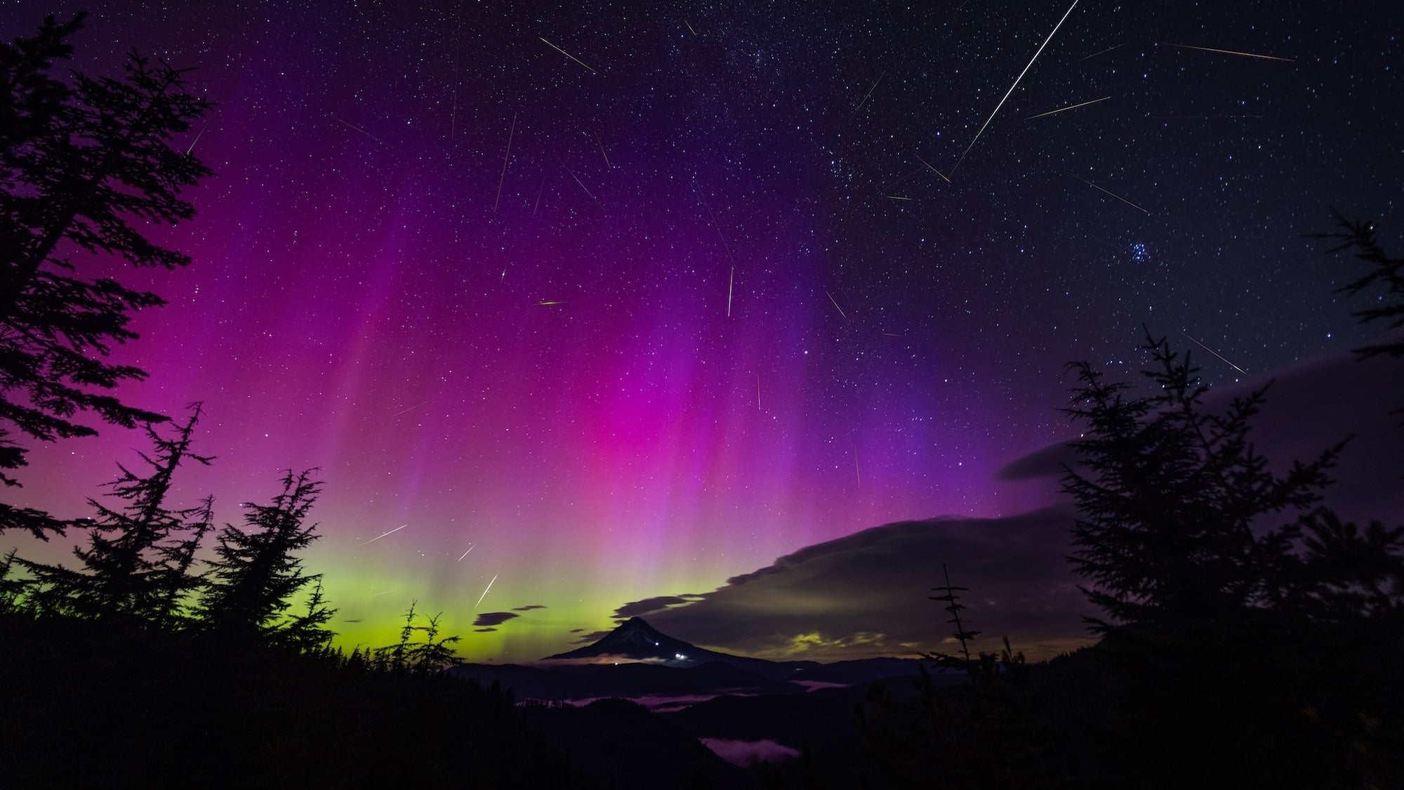 shutterstock-2504977591