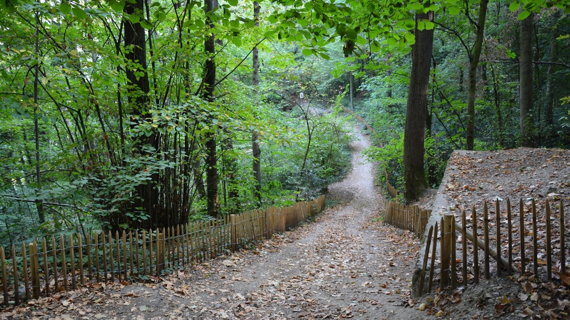 bois-de-la-caille-lyon