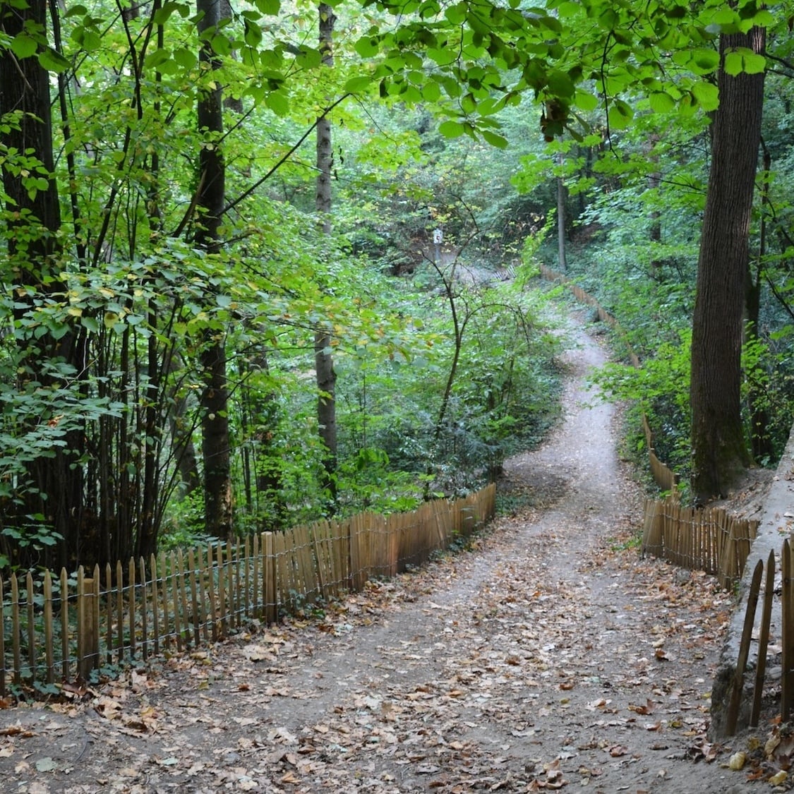 bois-de-la-caille-lyon