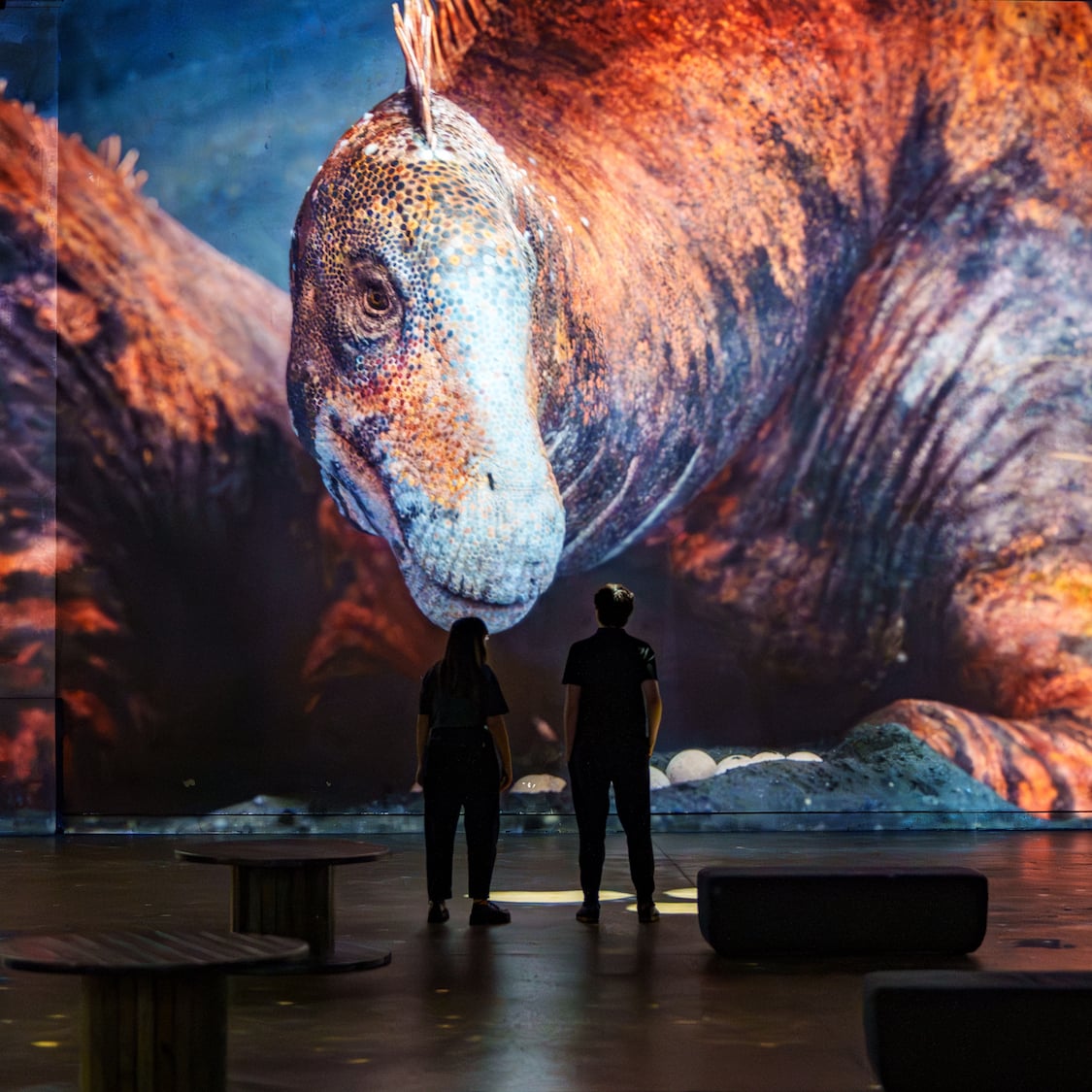 Pour Noël, les dinosaures s’invitent à l’Atelier des Lumières adldinosaures-078-cdelamotterouge