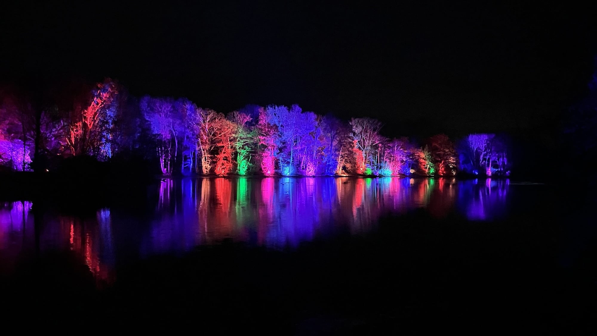 Un incroyable festival de lumières magiques dans un parc animalier à 30 minutes de Lyon nuits-du-parc-saison-2-essais-25-11-2025-yves-thon