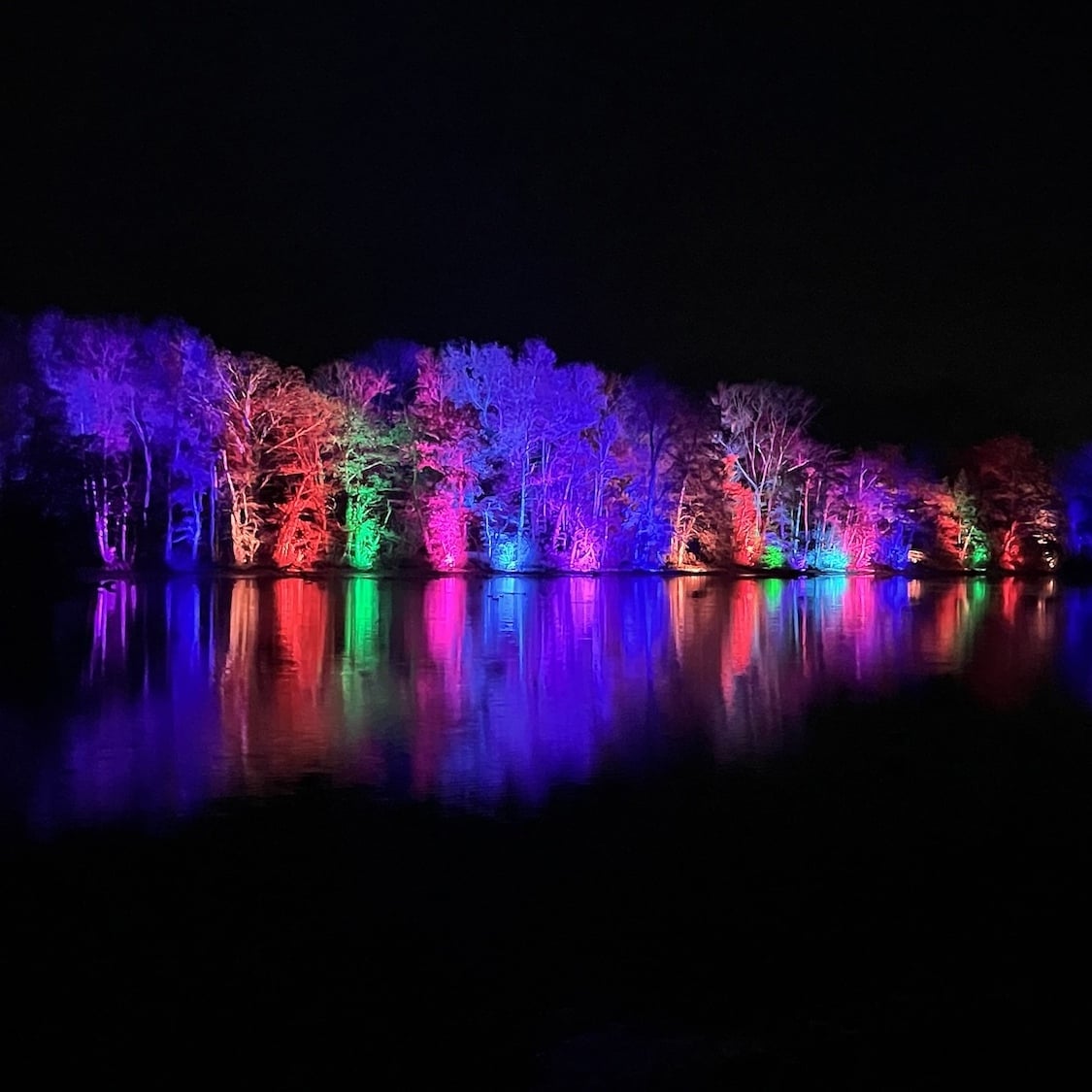 An amazing festival of magical lights in a wildlife park just 30 minutes from Lyon! nuits-du-parc-saison-2-essais-25-11-2025-yves-thon