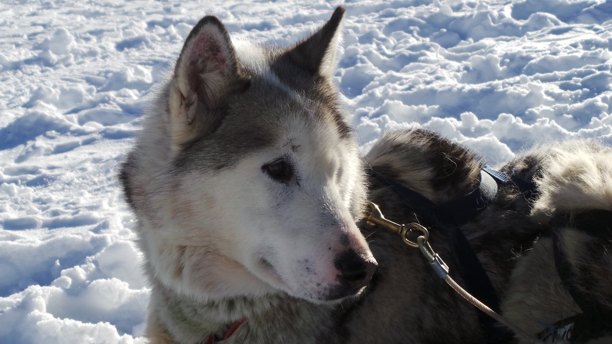 shutterstock-2199868997