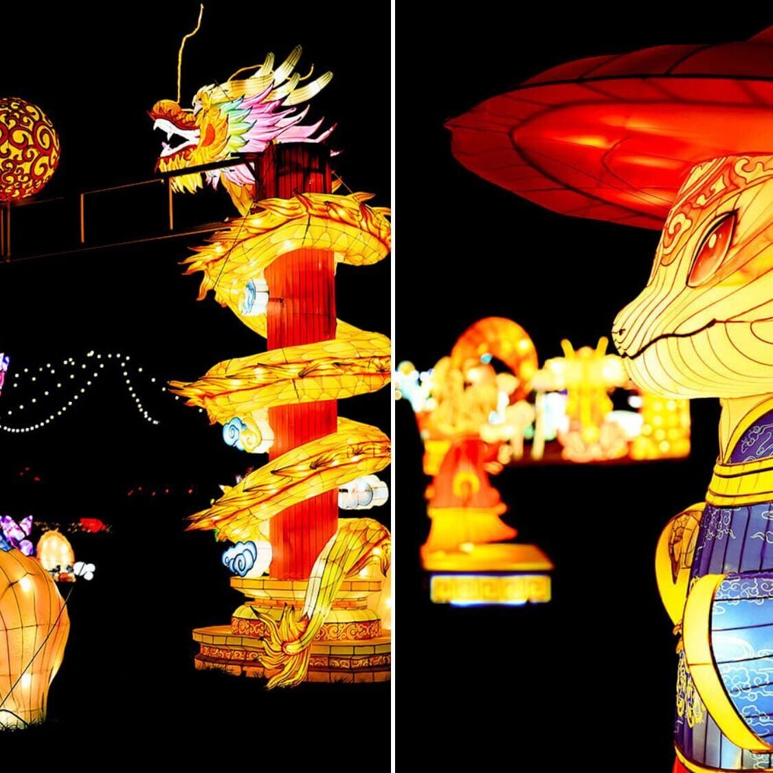 Un gigantesque parcours de 4 000 lanternes chinoises débarque à 2h de Toulouse eveil-lanternes-chinoises-barcares-toulouse