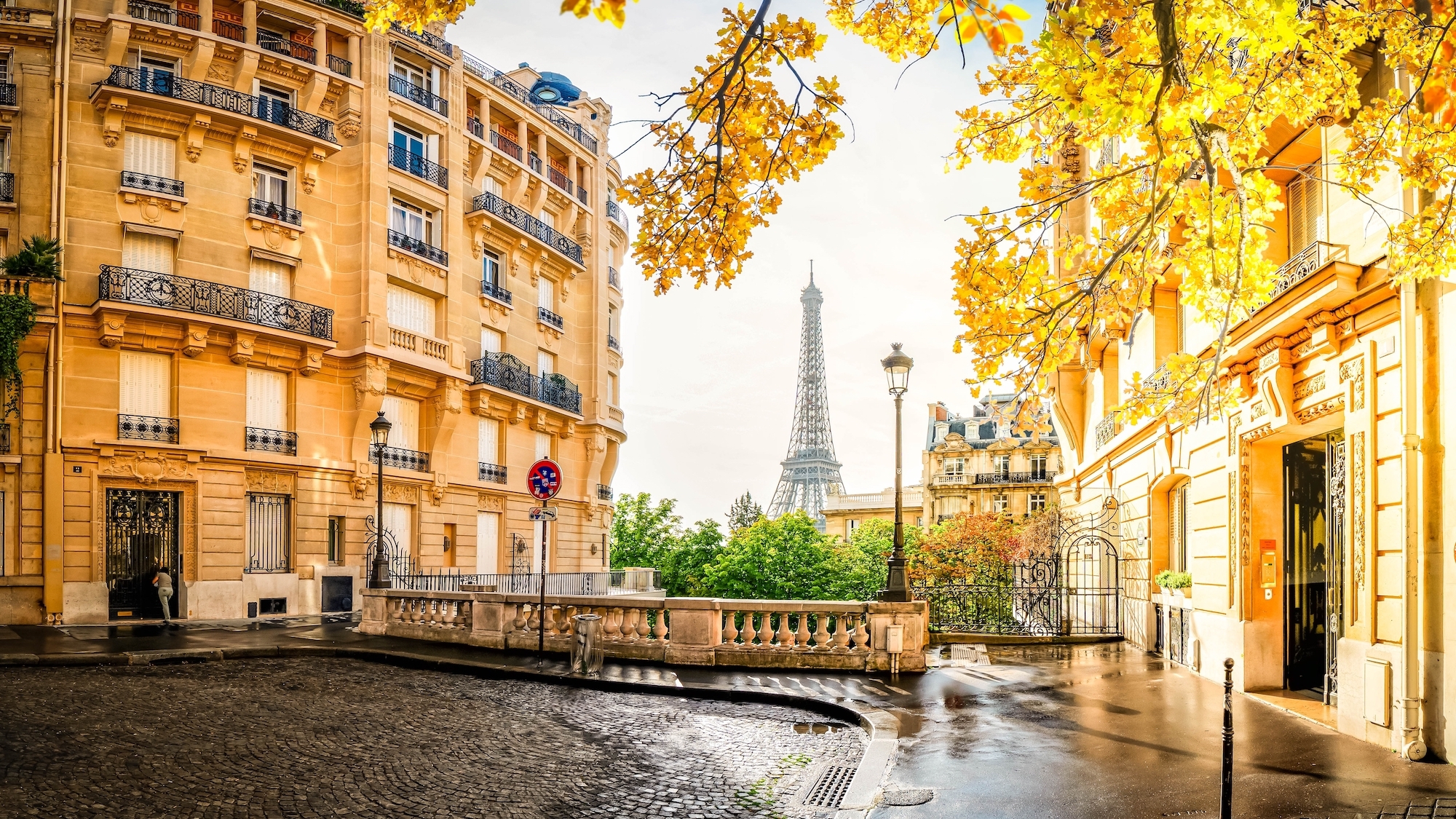 shutterstock-2527413253