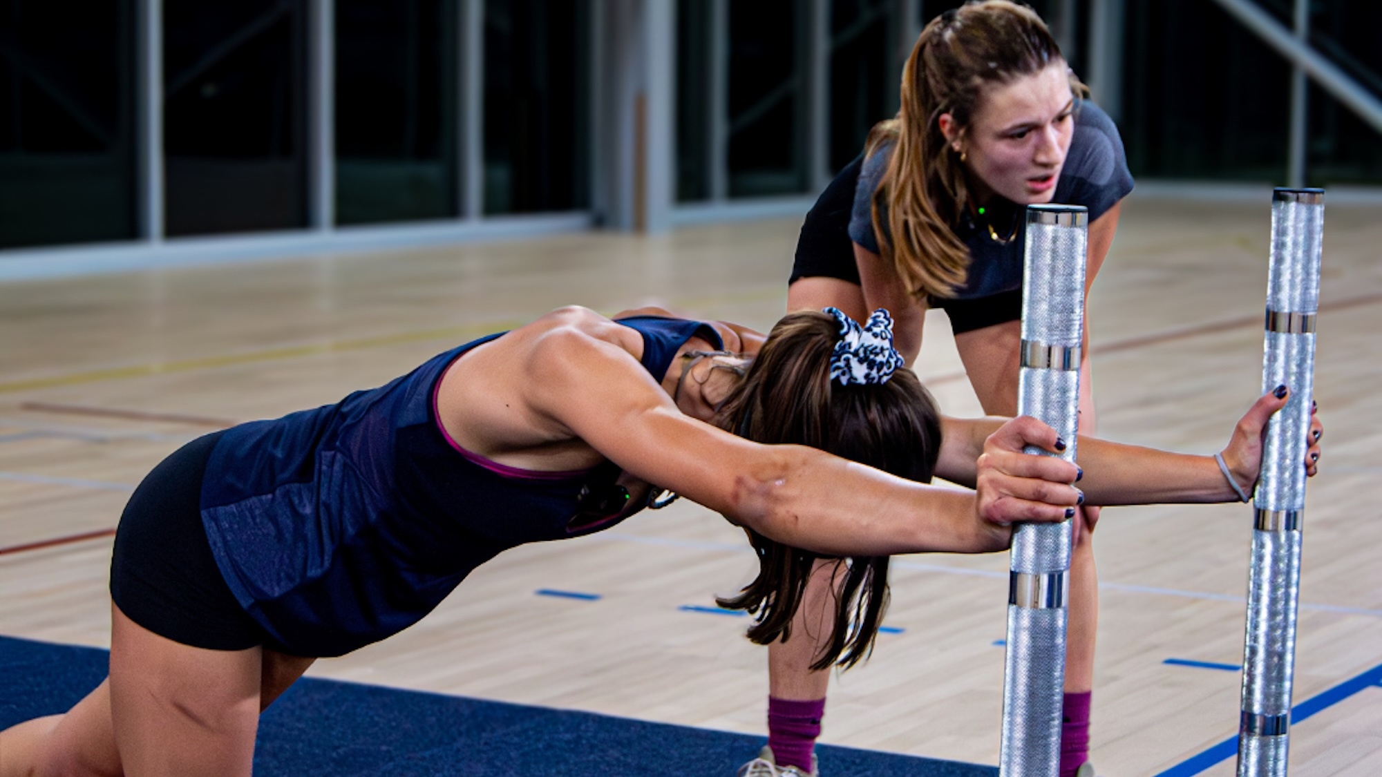 smart-sveltus-series