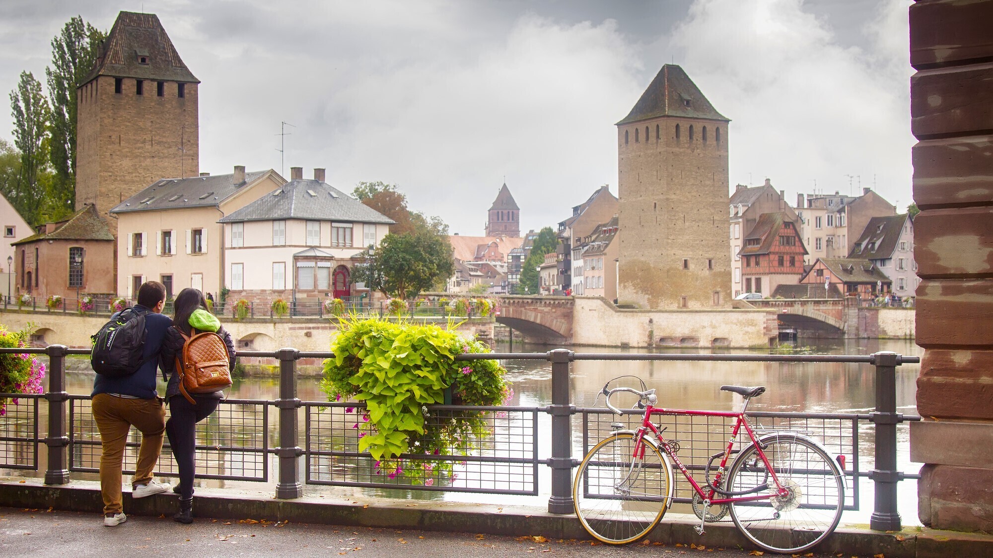 shutterstock-1377609218-1-1-2-2000