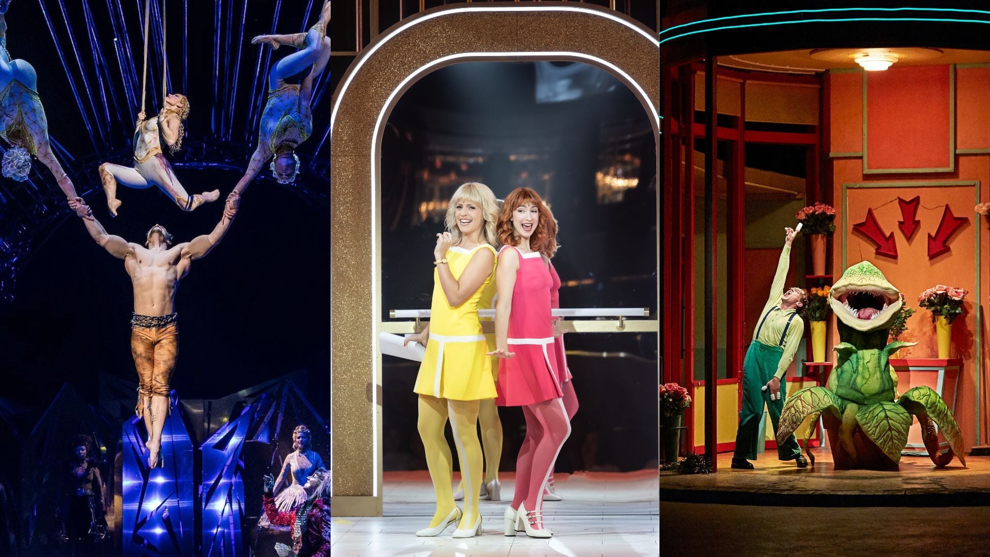 6 superbes spectacles à offrir à Noël spectacles-noel