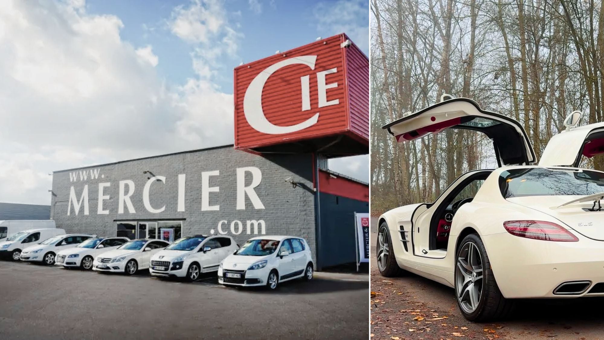 mercier-voitures-arbres