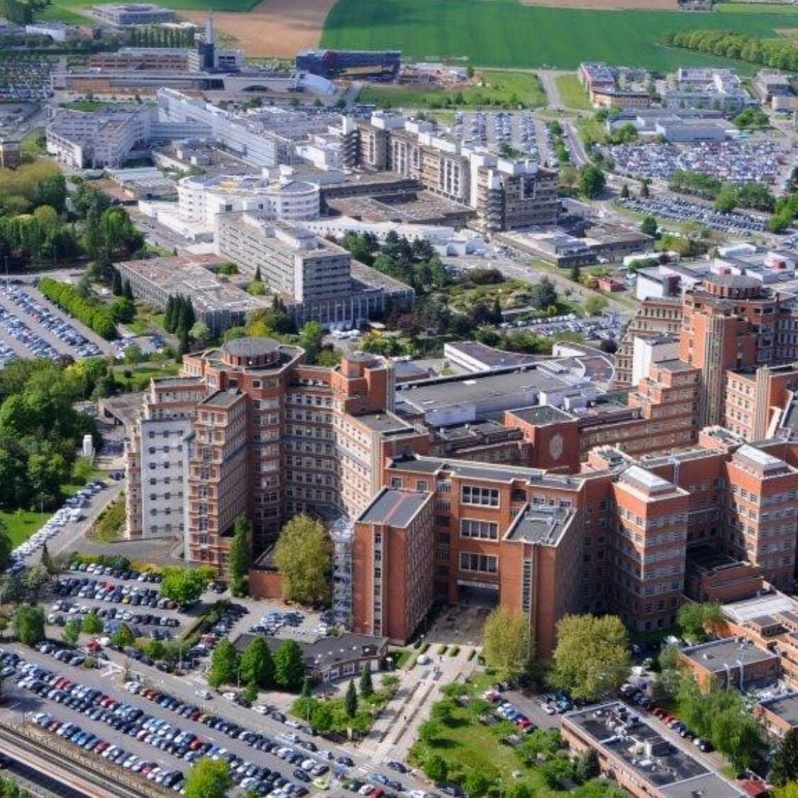 Santé mentale : Lille se dote d’un plateau de soins parmi les plus avancés de France hopital-ville-arbres