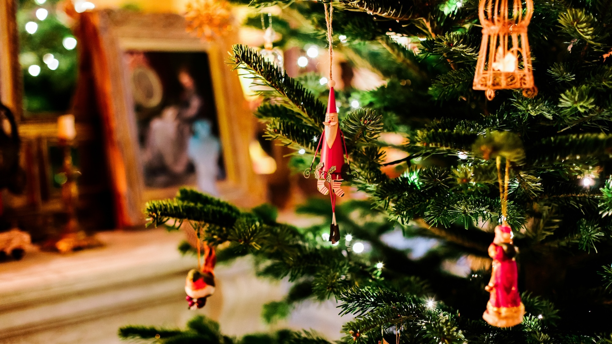 bruno-martins-nynnawubn6k-unsplash