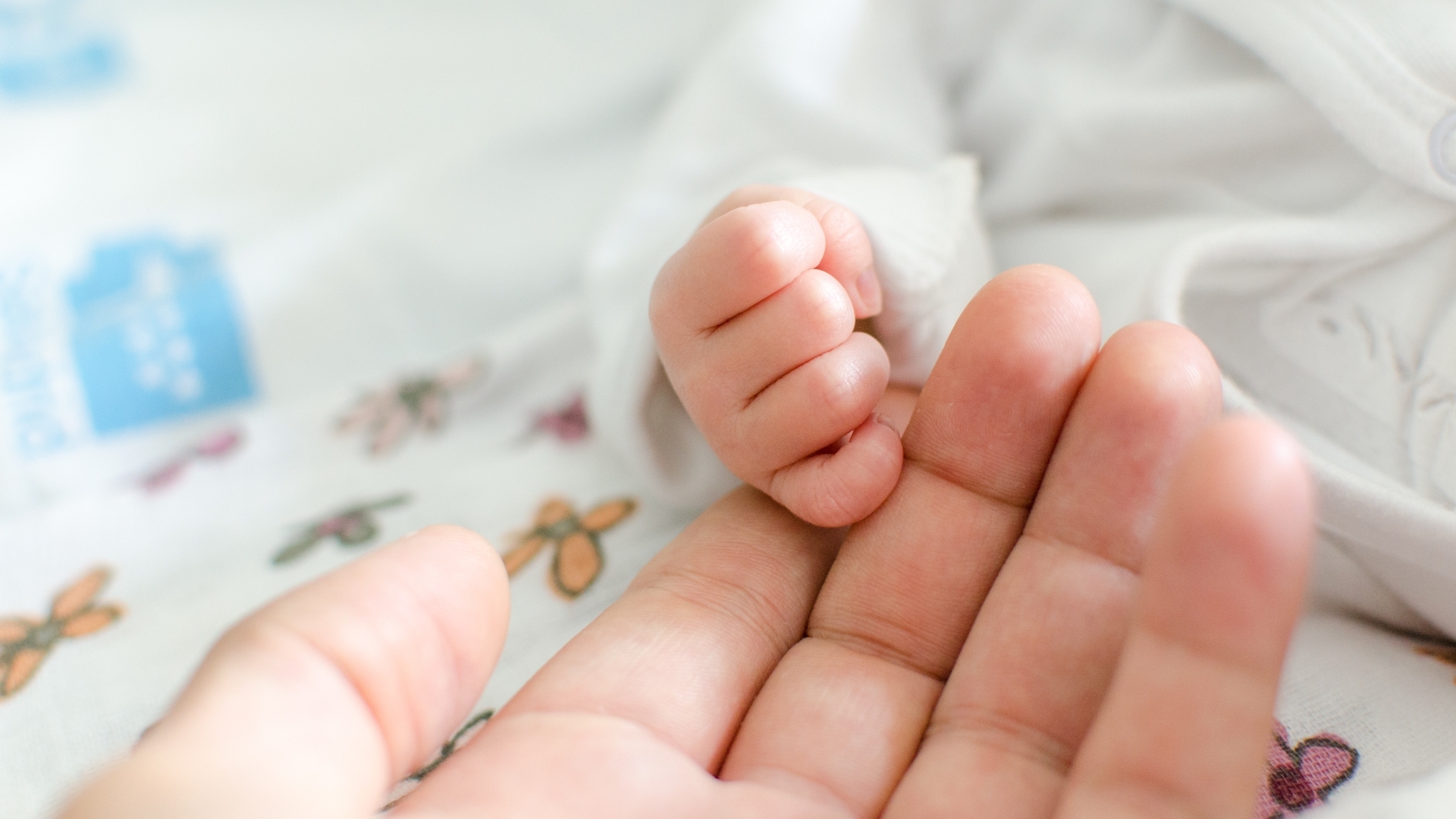 shutterstock-2214391351