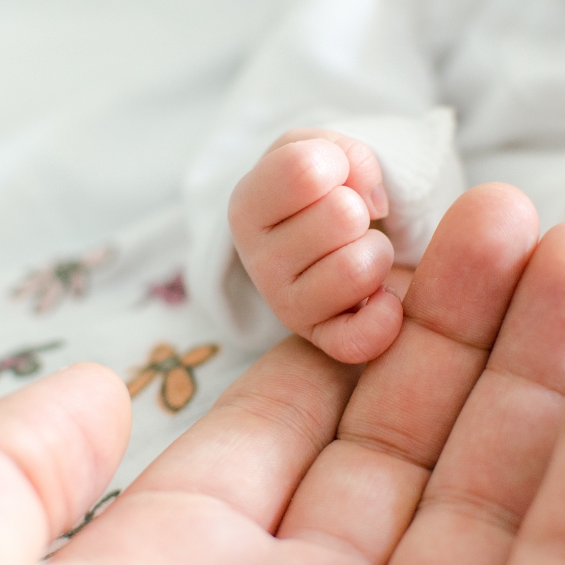 Il y a eu plus de décès que de naissances en France en 2025, une première depuis l'après-guerre shutterstock-2214391351