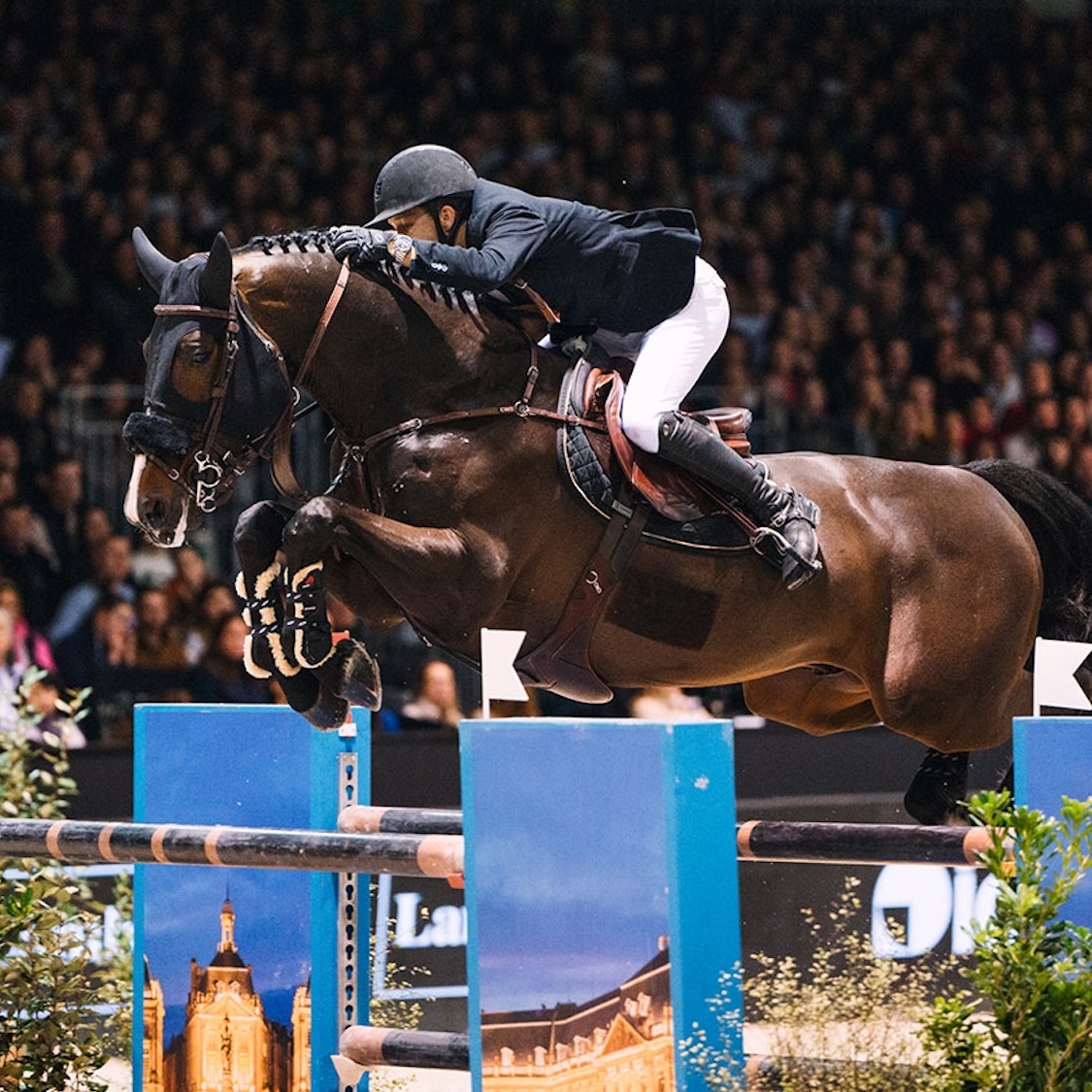 Le Jumping de Bordeaux 2026 revient et promet quatre jours de grand sport et de grand show bordeaux-jumping