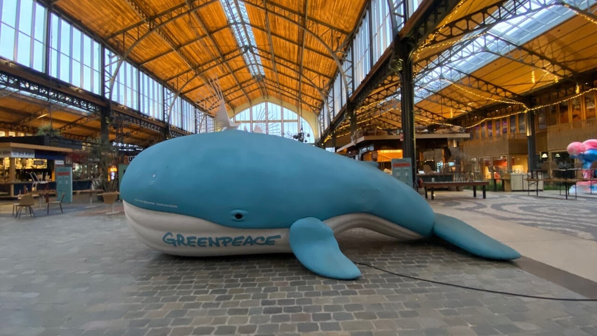 baleine-bleue-echouee-gare-maritime-bruxelles