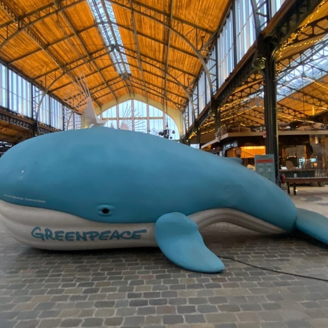 baleine-bleue-echouee-gare-maritime-bruxelles