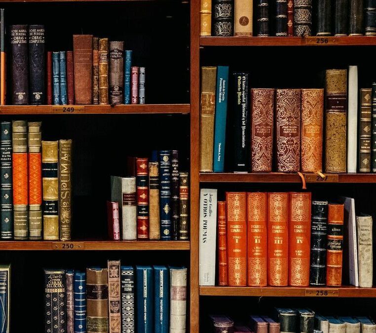 inaki-del-olmo-nijueqw0rkg-unsplash-2-1200