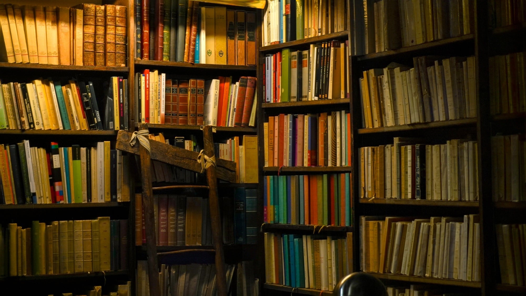 4 librairies indépendantes parisiennes élues parmi les meilleures du monde jagoda