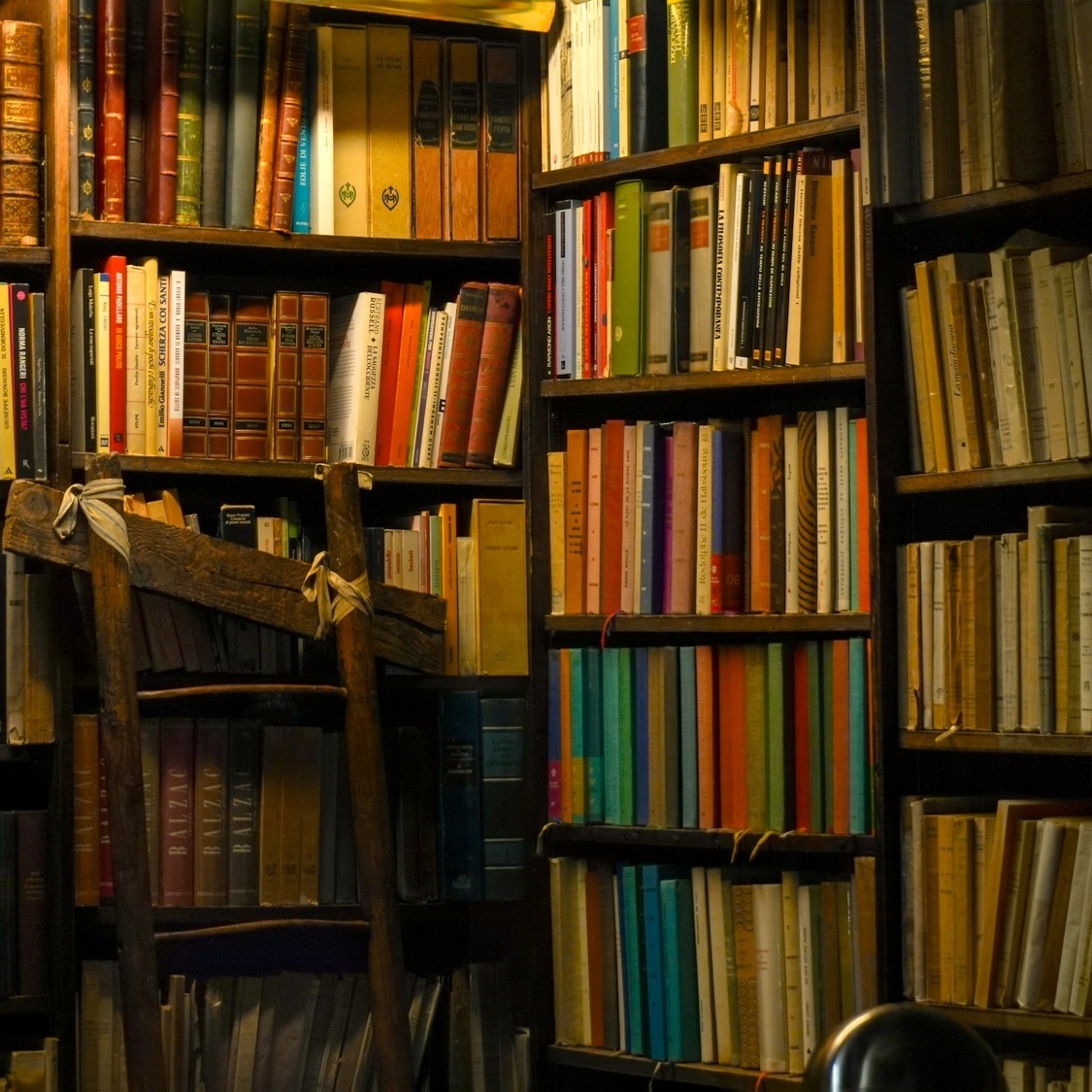 4 librairies indépendantes parisiennes élues parmi les meilleures du monde jagoda