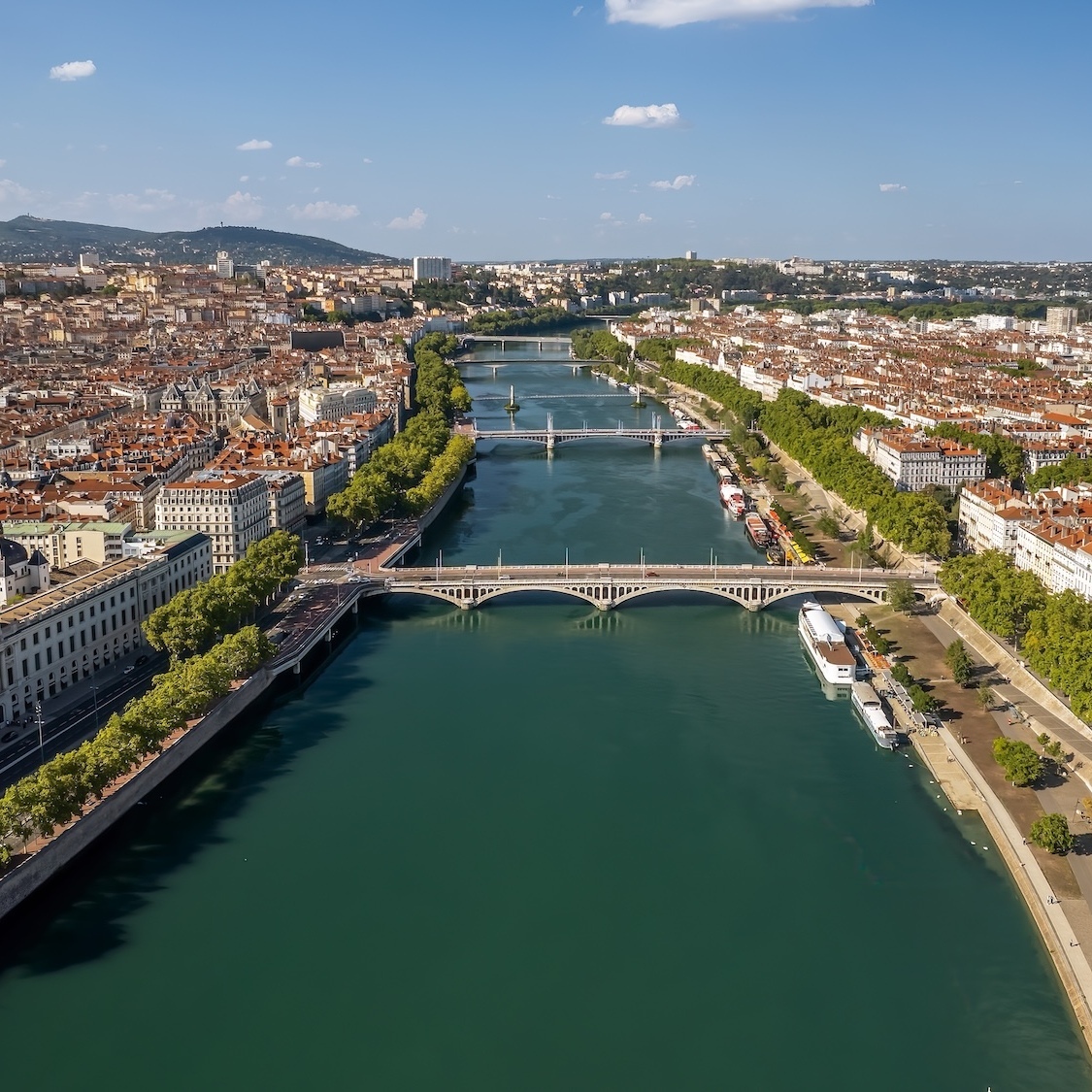 Jean-Michel Aulas veut créer une forêt urbaine "<i>de plusieurs centaines d'hectares</i>" à Lyon jean-michel-aulas-foret-urbaine-lyon