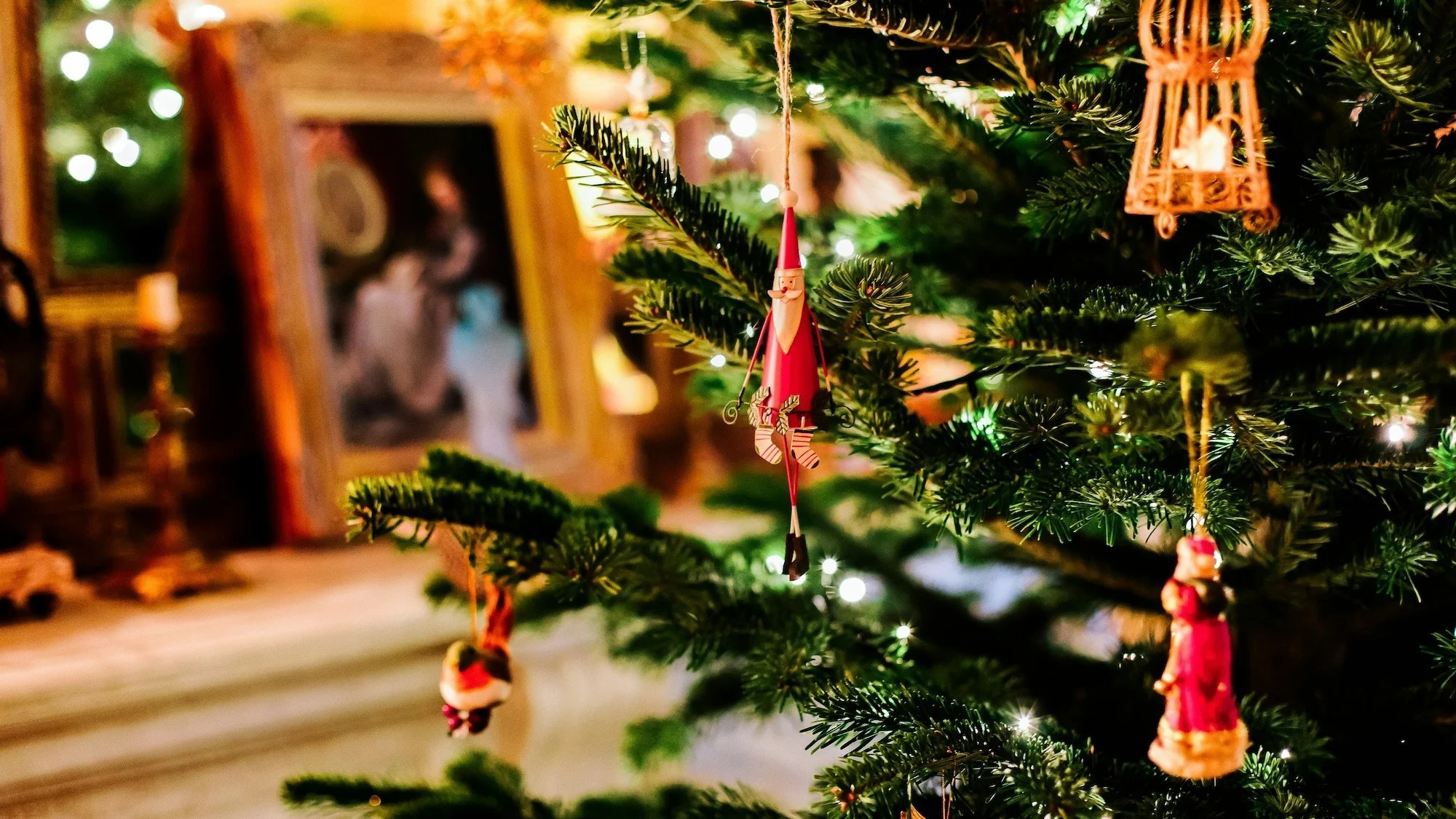 bruno-martins-nynnawubn6k-unsplash-2-2000