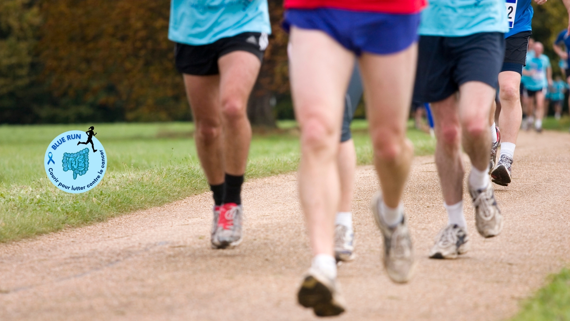 blue-run-dijon-1-