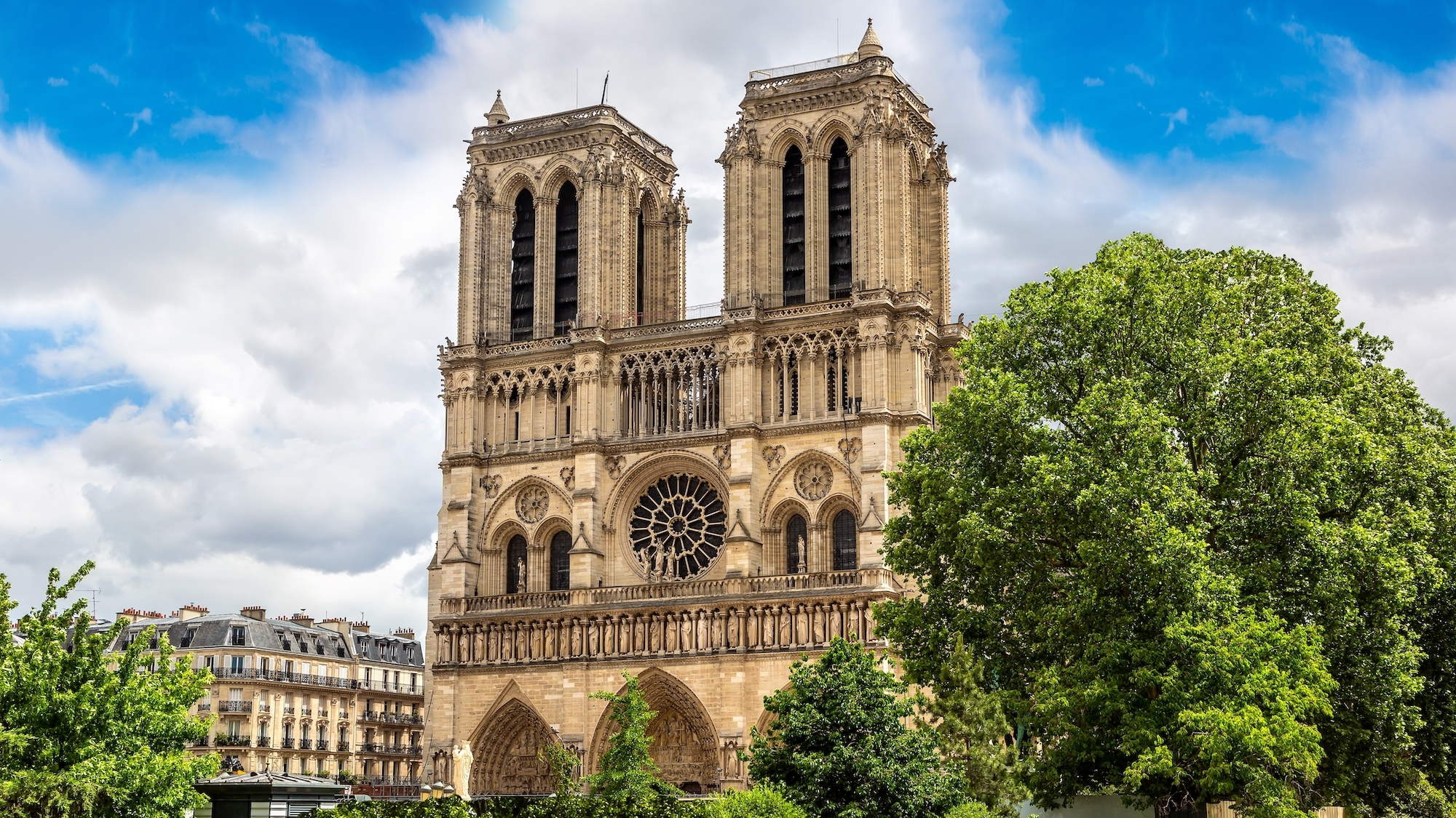 notre-dame-paris-tours-rosace-printemps-arbre-ciel