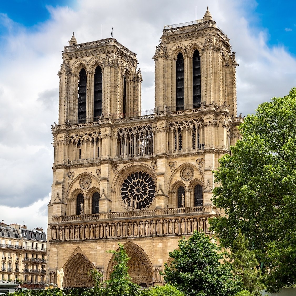 notre-dame-paris-tours-rosace-printemps-arbre-ciel