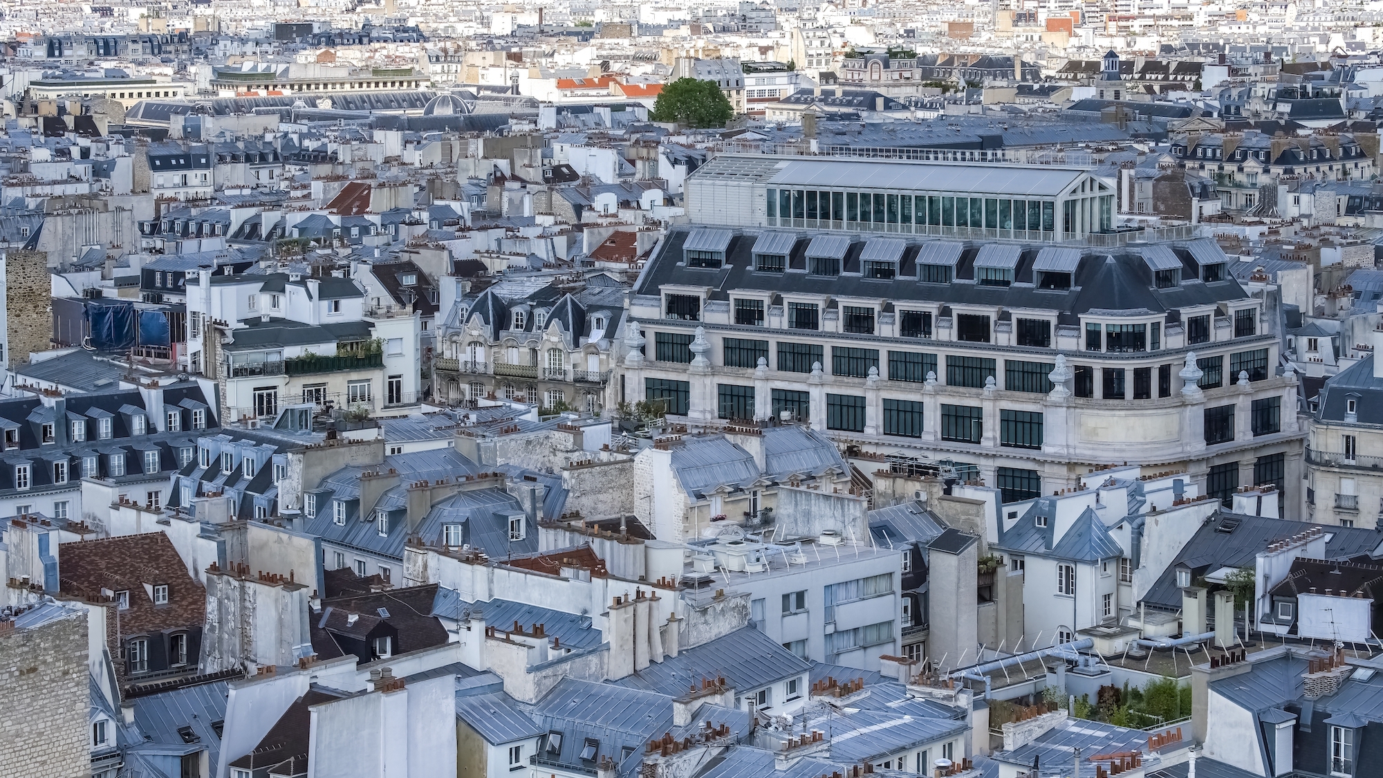 paris-toits-immeubles-gris-hiver-soleil-matin-fene