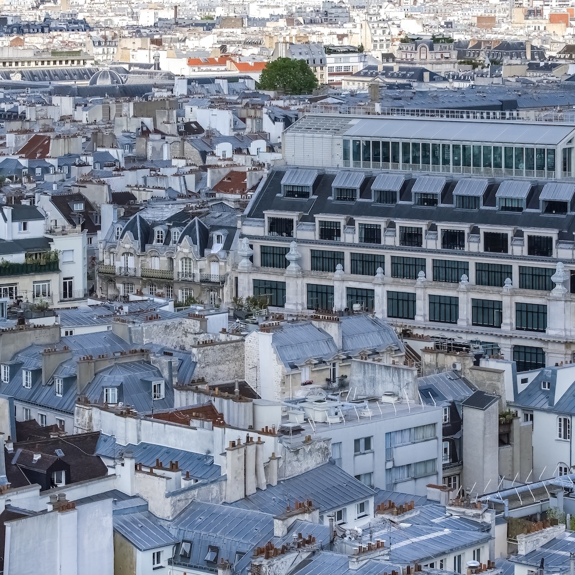 paris-toits-immeubles-gris-hiver-soleil-matin-fene