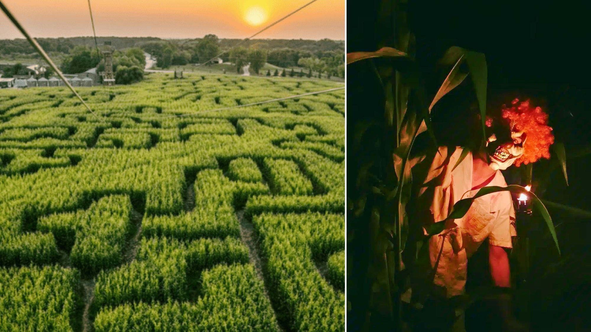 labyrinthe-mais-nocturne