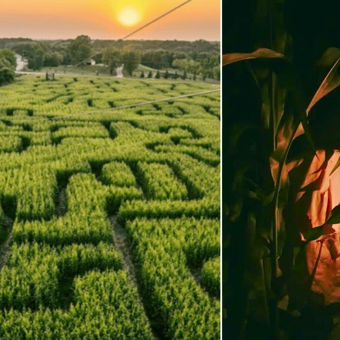 labyrinthe-mais-nocturne