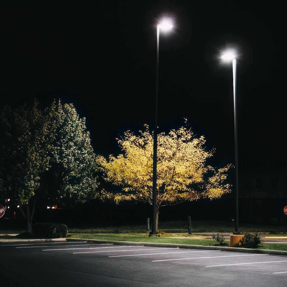 talence-eclairage-nocturne