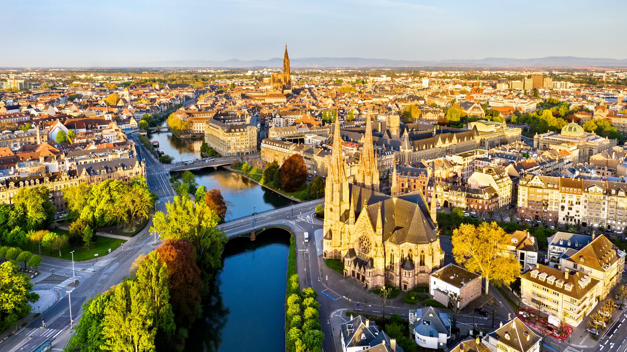 shutterstock-1378445144-1-2-