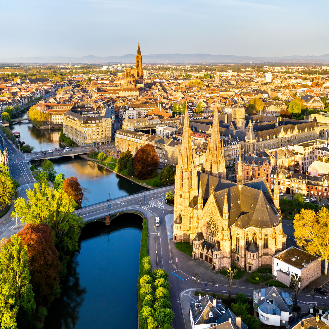 shutterstock-1378445144-1-2-