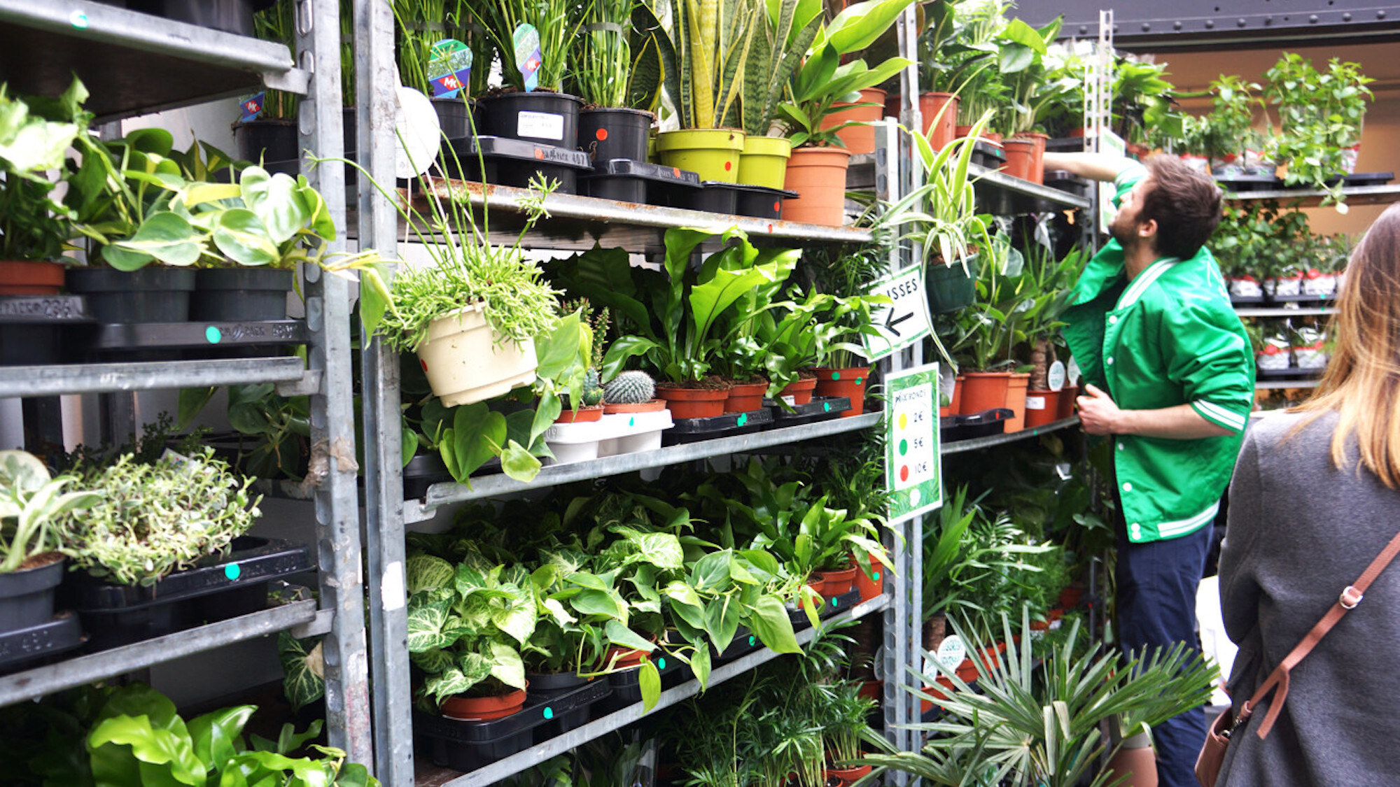 plantes-pour-tous-jardinerie-vente-promo-republiqu