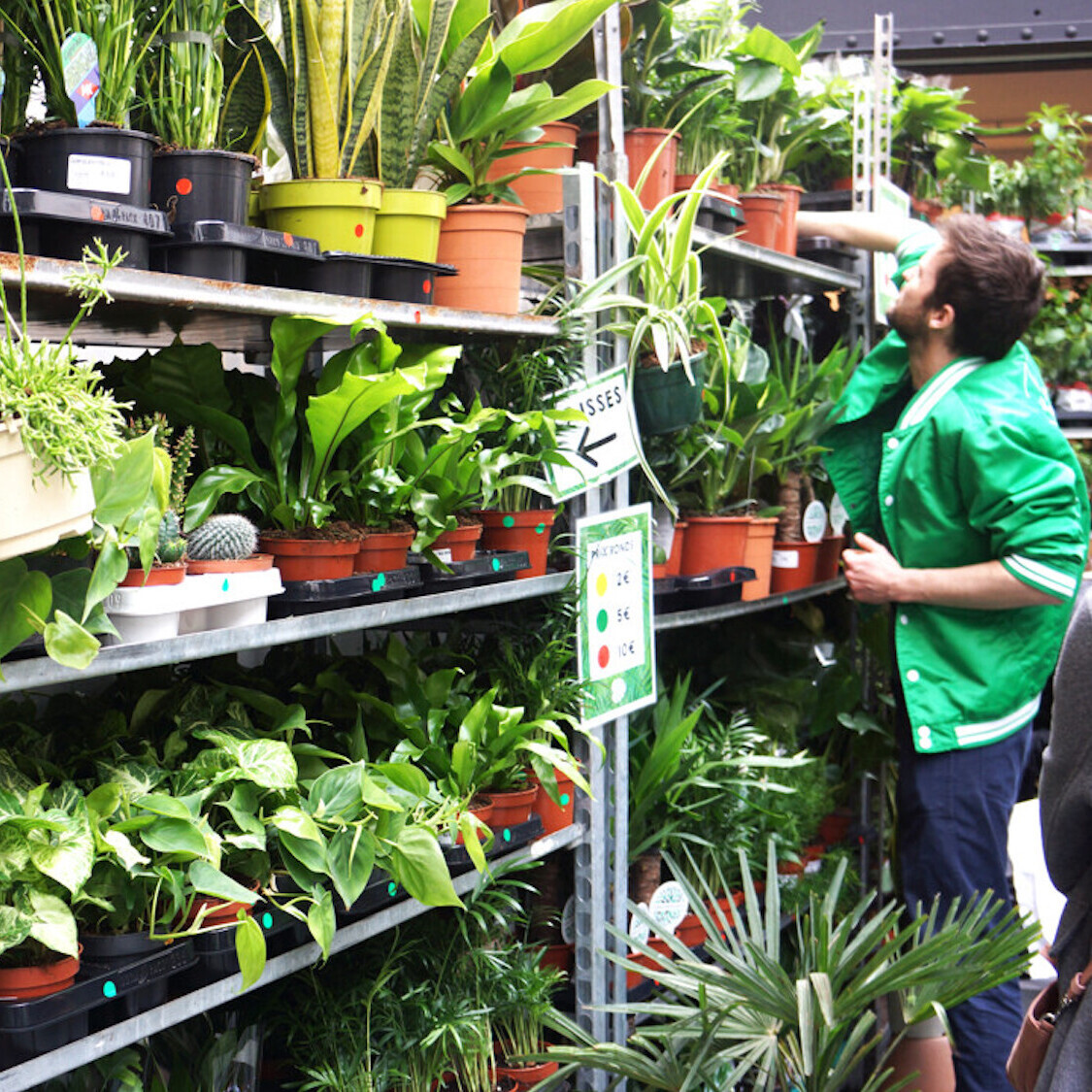 plantes-pour-tous-jardinerie-vente-promo-republiqu
