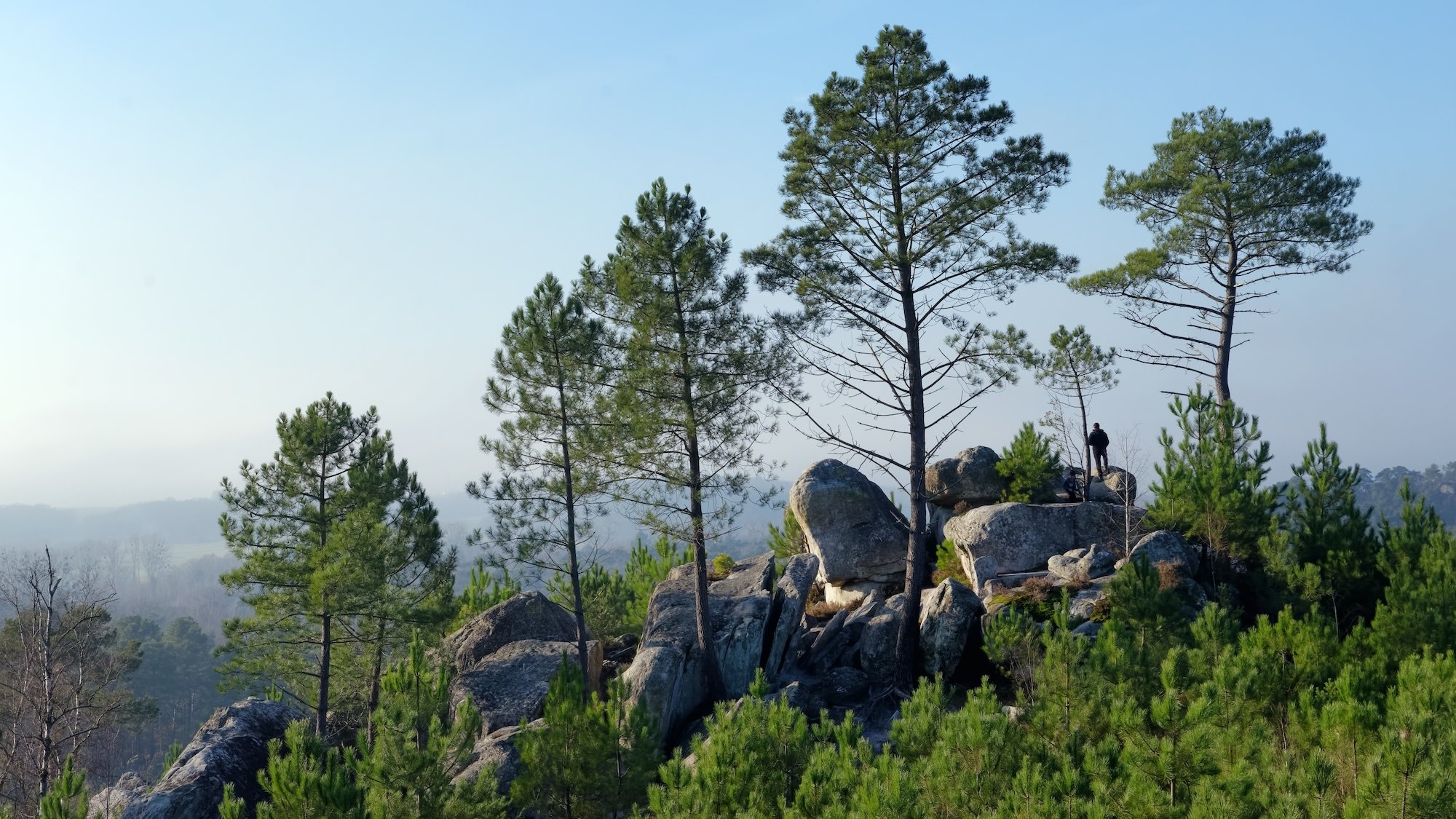 25-bosses-fontainebleau-randonne-e-arbres-pierres-