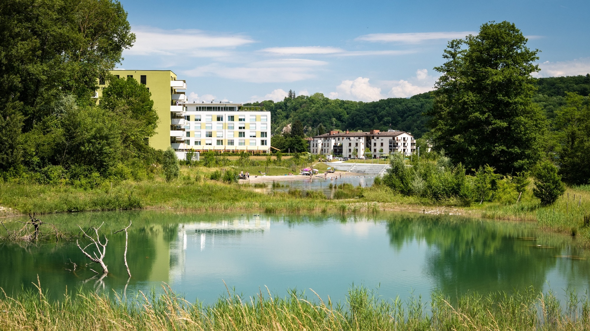 plage-plaine-dardagny-pollution-cyanobacteries