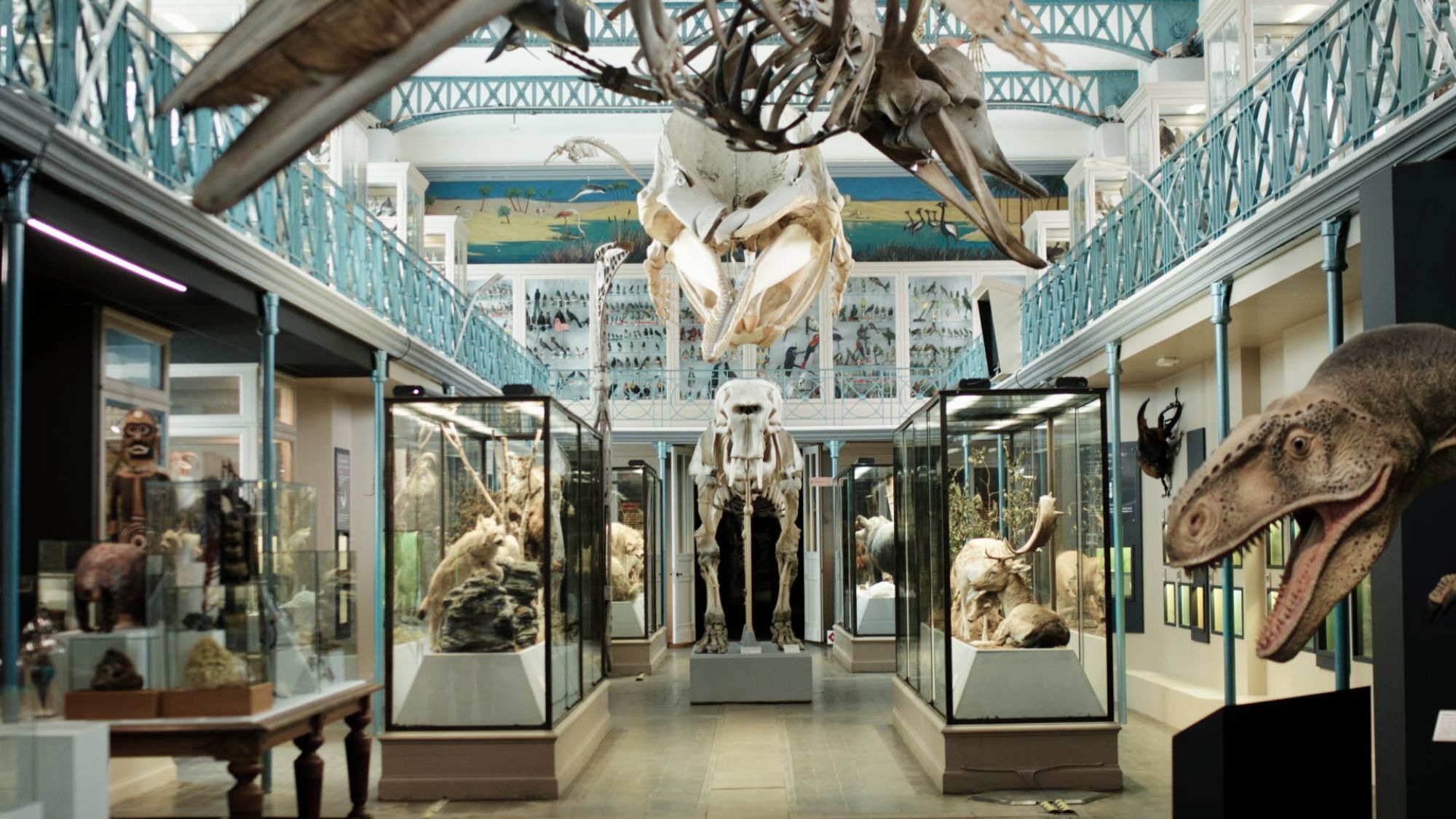 magie-musee-histoire-naturelle-lieux-secret-lille