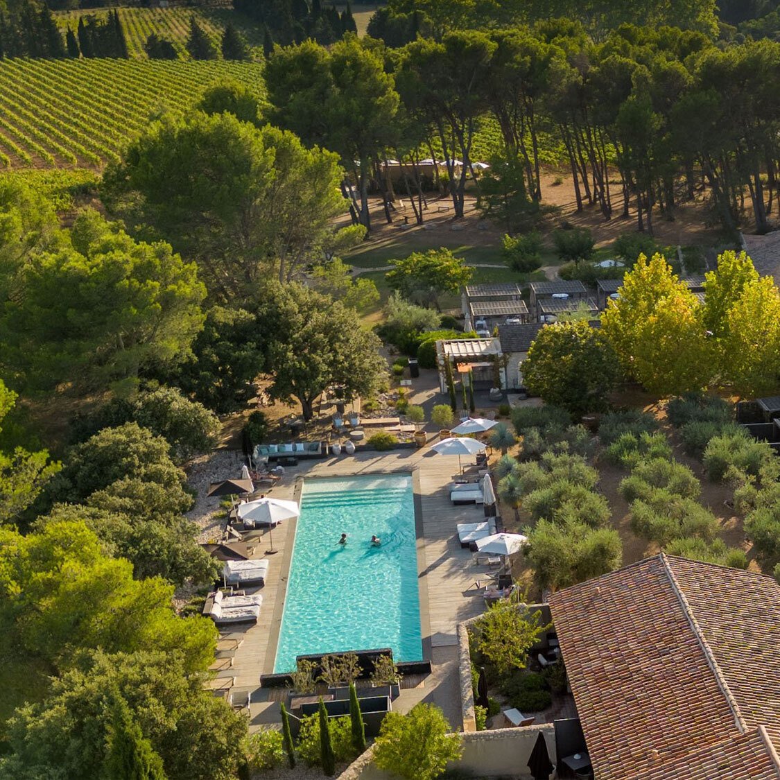 domaine-pierre-blanche-alpilles