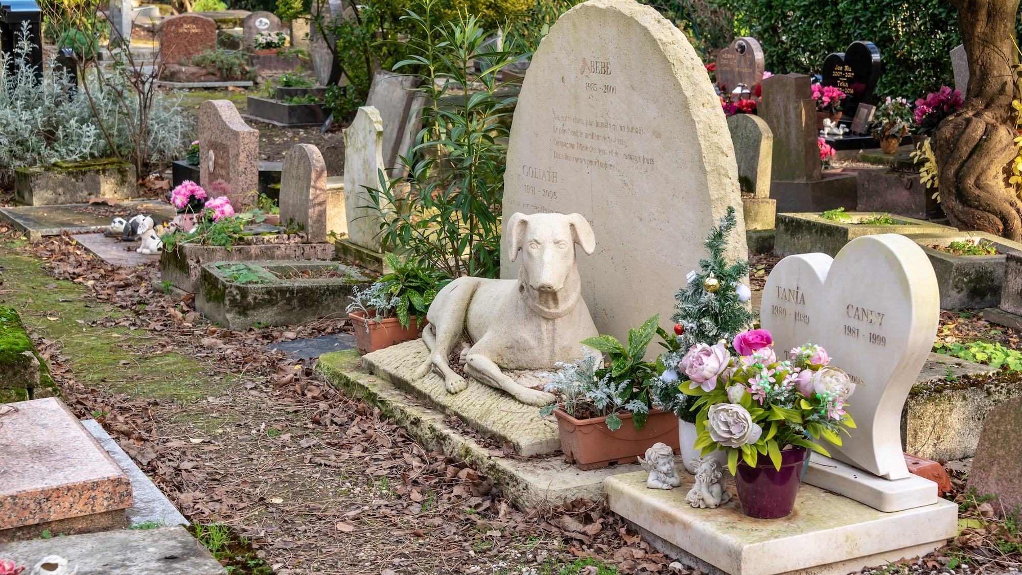 jardin-souvenir-animaux-domestiques-geneve
