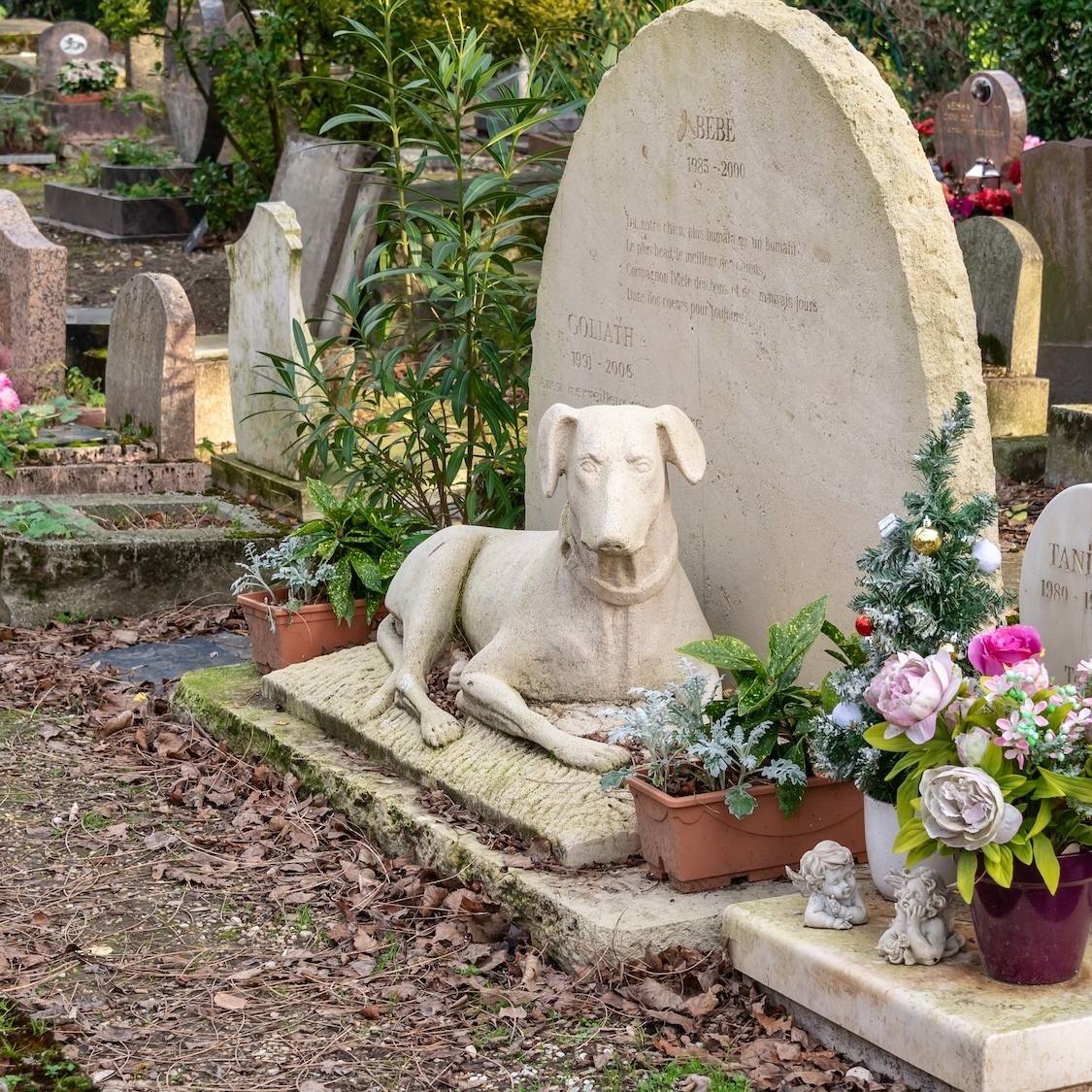 jardin-souvenir-animaux-domestiques-geneve